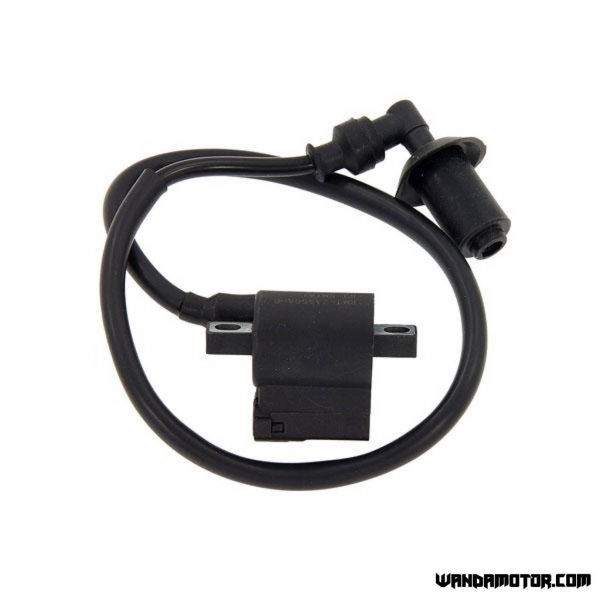 Euro5 Monkey ignition coil 1-pin-2