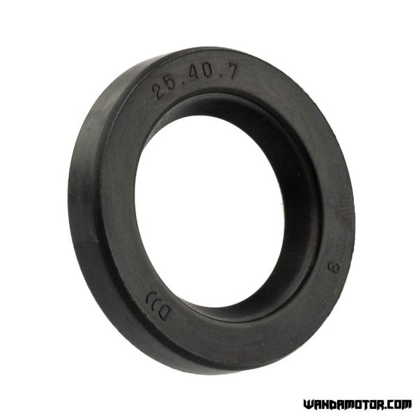 #17 oil seal