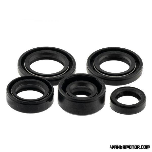 Oil seal kit YX 160-2