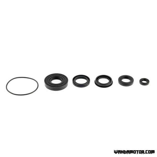 Gasket ring set Minarelli horizontal LC Aerox-2