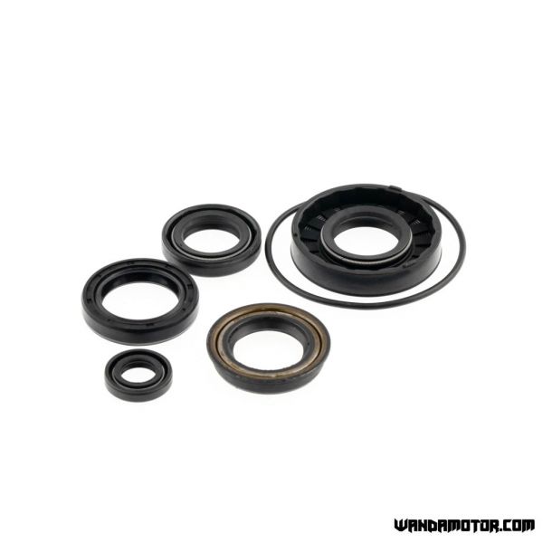 Gasket ring set Minarelli horizontal LC Aerox